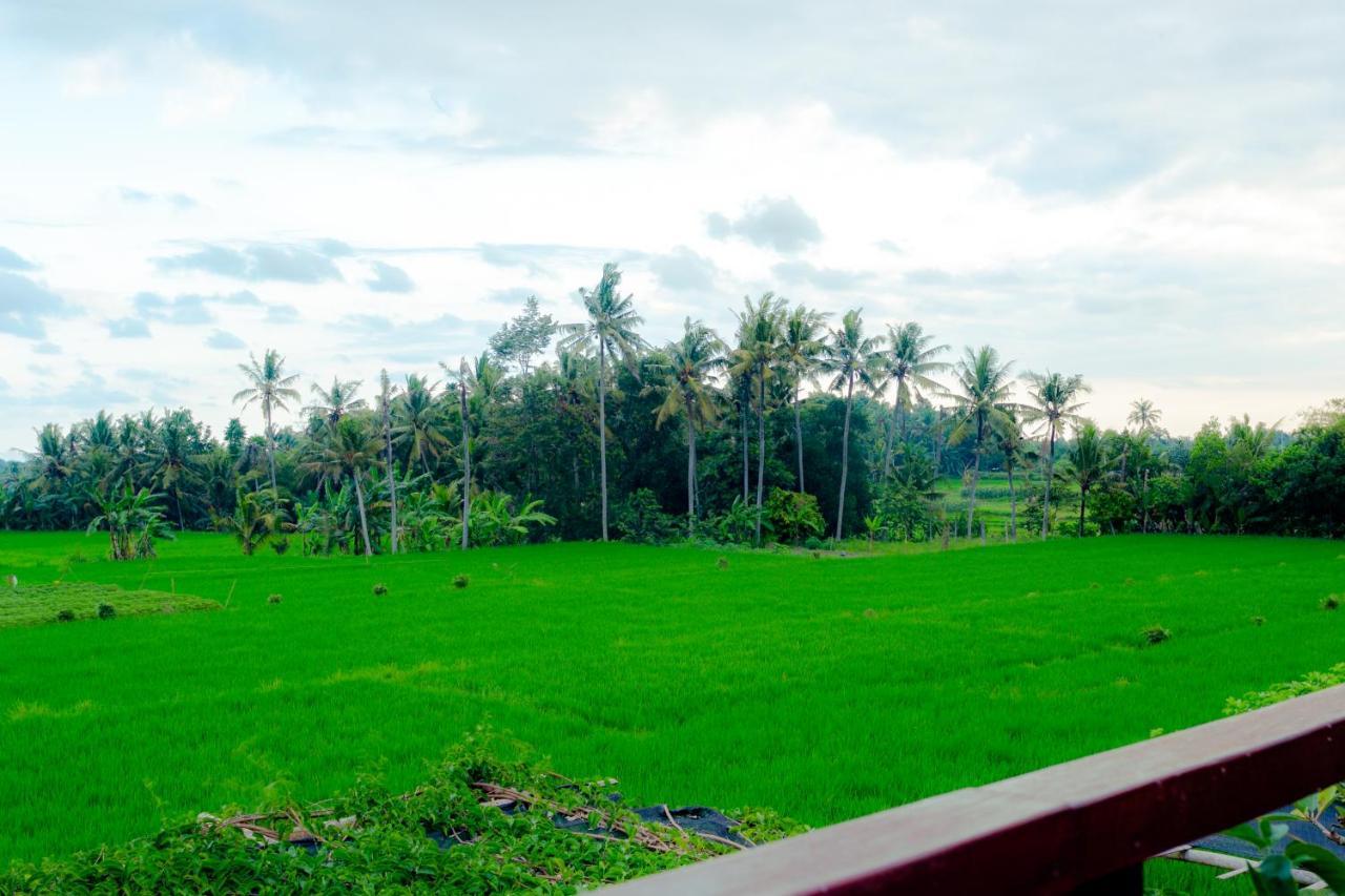 Nauna Villa Ubud Eksteriør bilde
