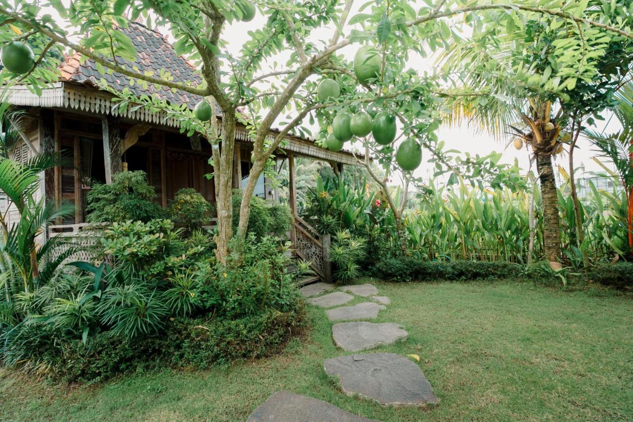 Nauna Villa Ubud Eksteriør bilde