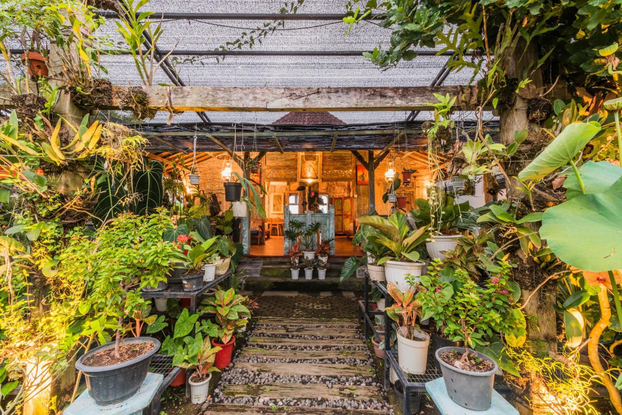 Nauna Villa Ubud Eksteriør bilde